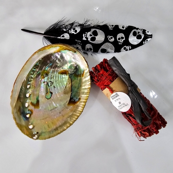 🆑️ Dragon’s Blood Sage - Natural Abalone Shell - Skull Feather Smudging Set - Picture 1 of 10